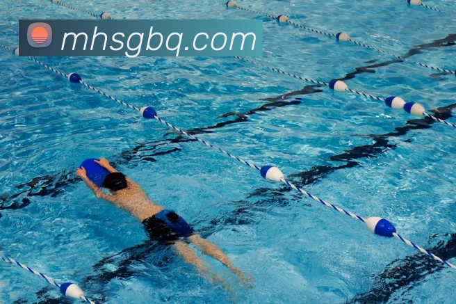 体育数据展示